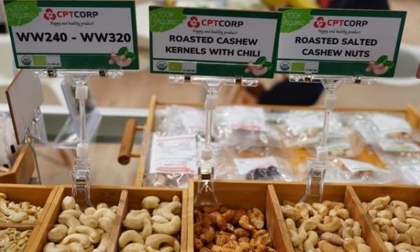 9 additional requirements when importing cashew nuts into the Northern European market